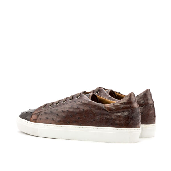 Trainer - Image 3